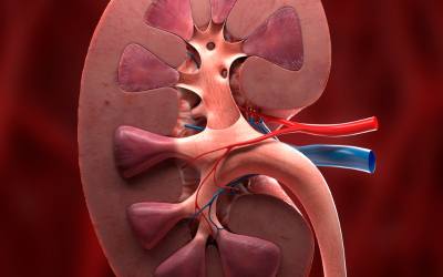 Kidney Failure Treatment